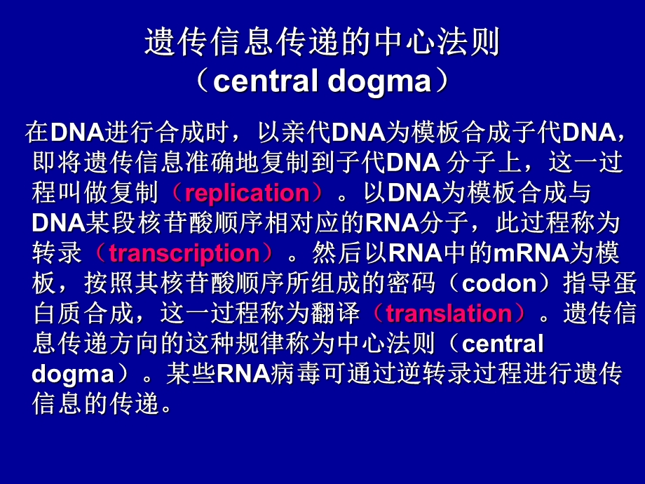 生物化学_第十一章_DNA的生物合成课件.ppt_第3页