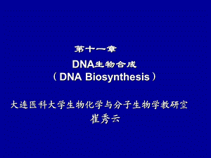 生物化学_第十一章_DNA的生物合成课件.ppt