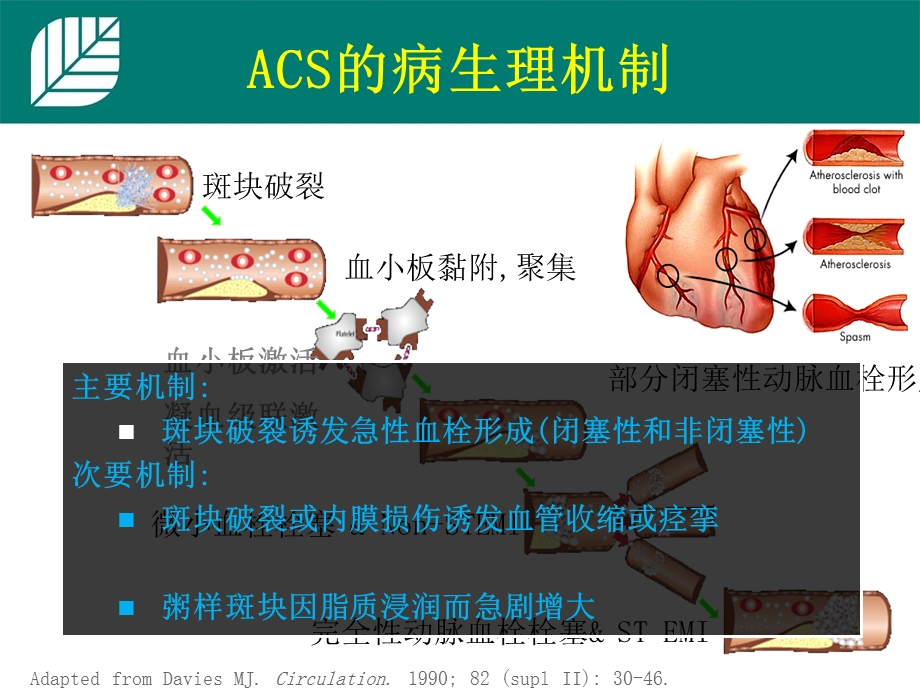 急性冠脉综合征抗凝治疗-纤溶-低分子肝素_图文课件.ppt_第3页