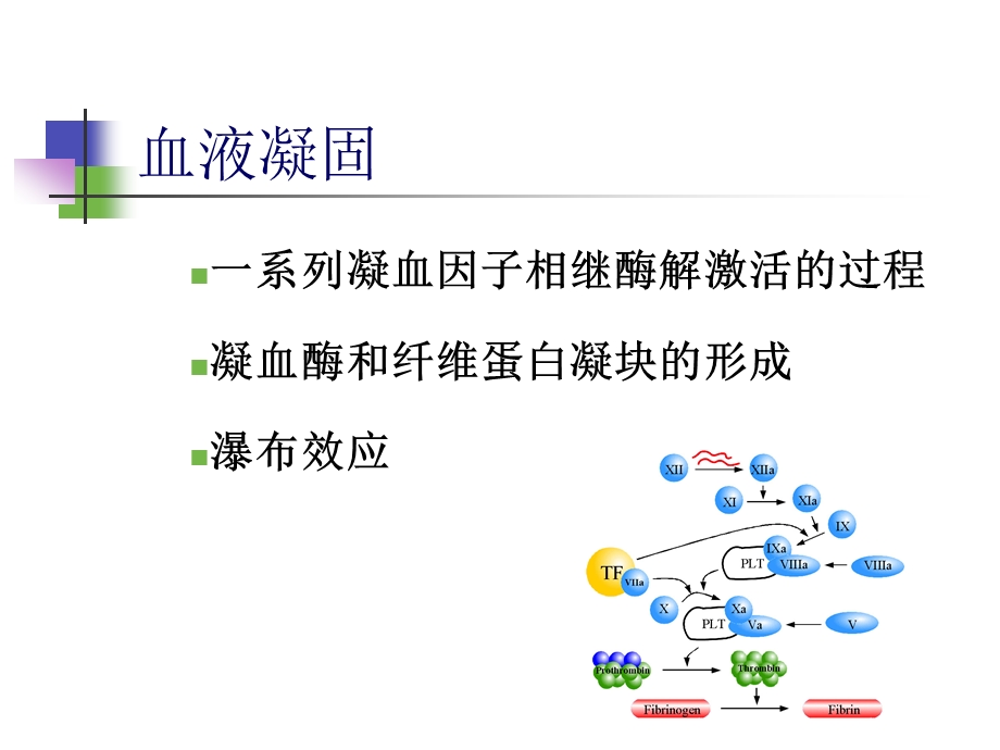 弥散性血管内凝血(DIC)课件.ppt_第2页