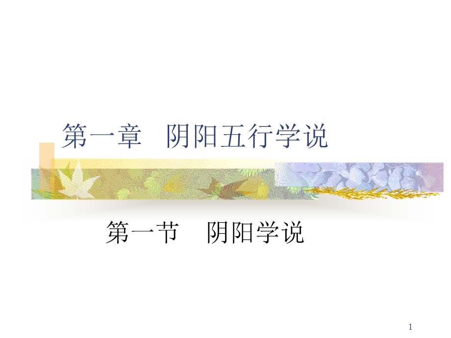 第一章 阴阳五行学说(06医学专科)课件.ppt_第1页