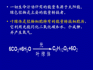 第六章细胞的能量转换线粒体和叶绿体课件.ppt