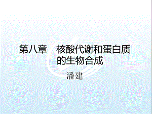 第8章 核酸代谢与蛋白质生物合成生物化学概论ppt课件.ppt