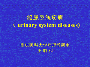 病理学ppt课件之泌尿系统疾病.ppt