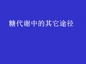 生物化学ppt课件（生物技术类）之糖代谢中的其它途径.ppt