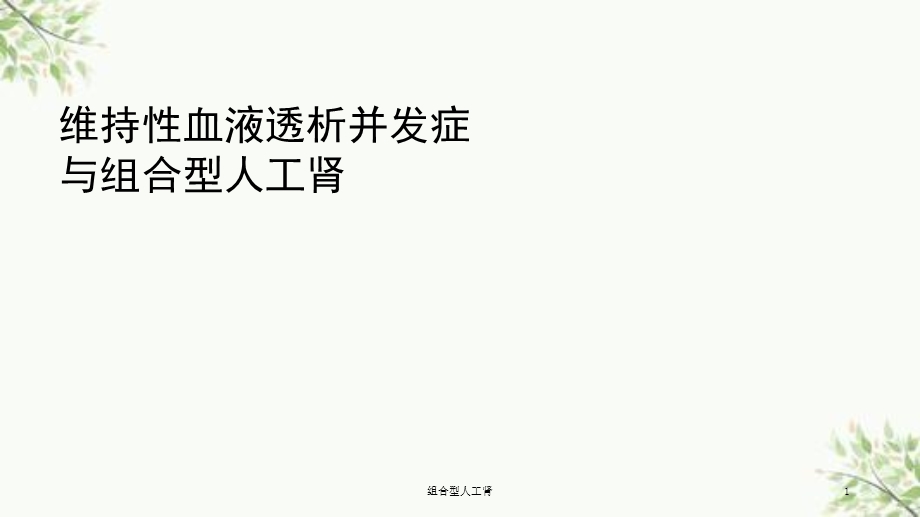 组合型人工肾ppt课件.ppt_第1页