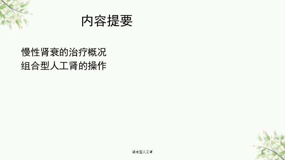 组合型人工肾ppt课件.ppt_第2页