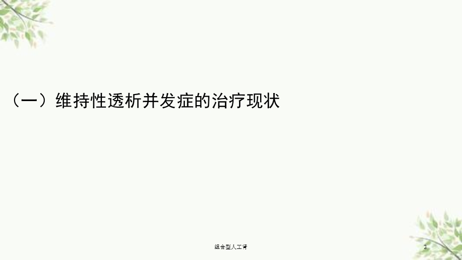 组合型人工肾ppt课件.ppt_第3页