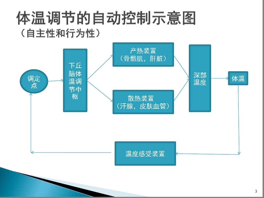 麻醉期间的体温管理参考幻灯片课件.ppt_第3页