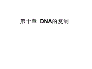 第十章DNA生物合成课件.ppt