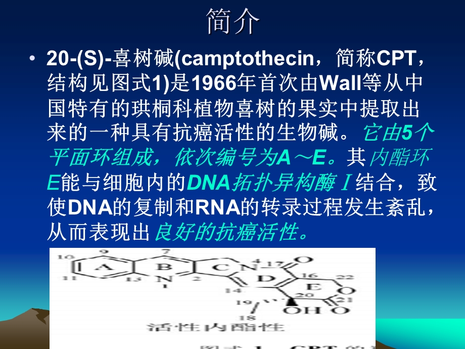 抗癌药物喜树碱的功能化改课件.ppt_第3页