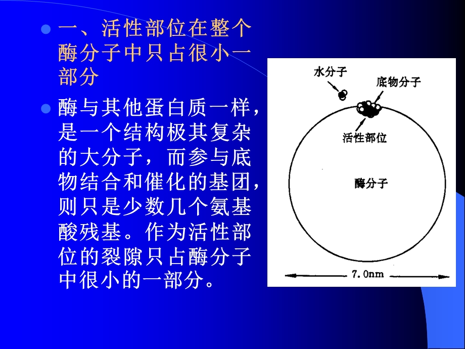 酶的催化机制课件.ppt_第3页