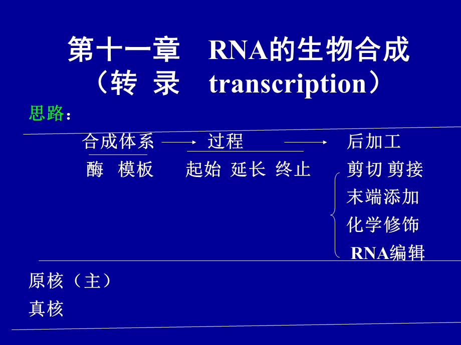 第十二章RNA的生物合成课件.ppt_第1页