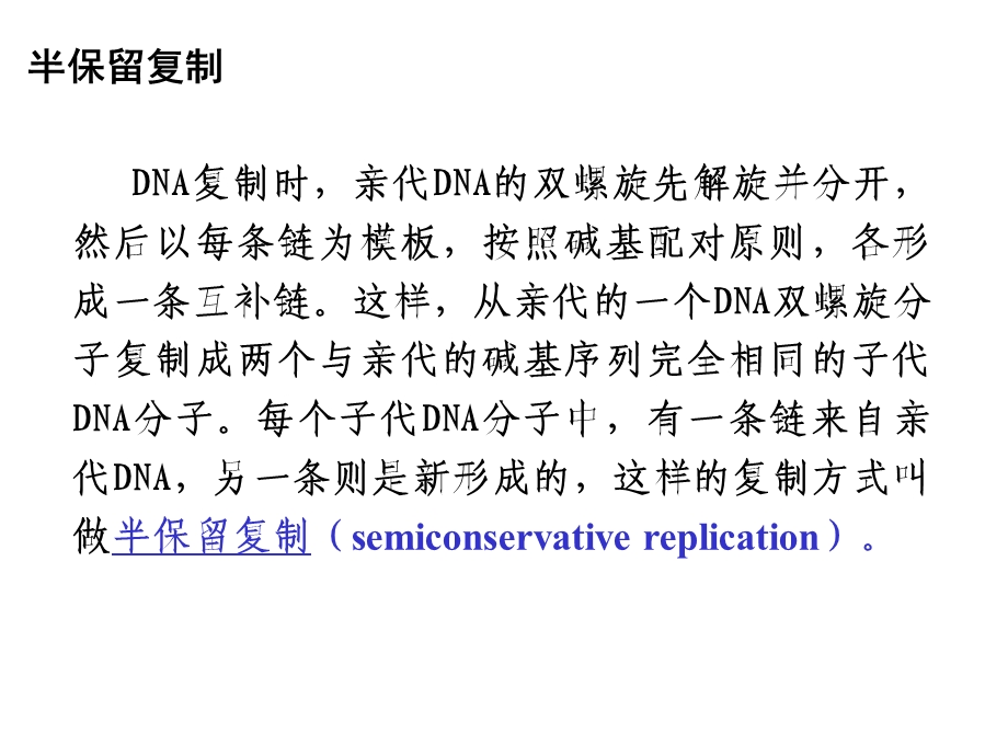 生物化学九章-核酸代谢课件.ppt_第3页