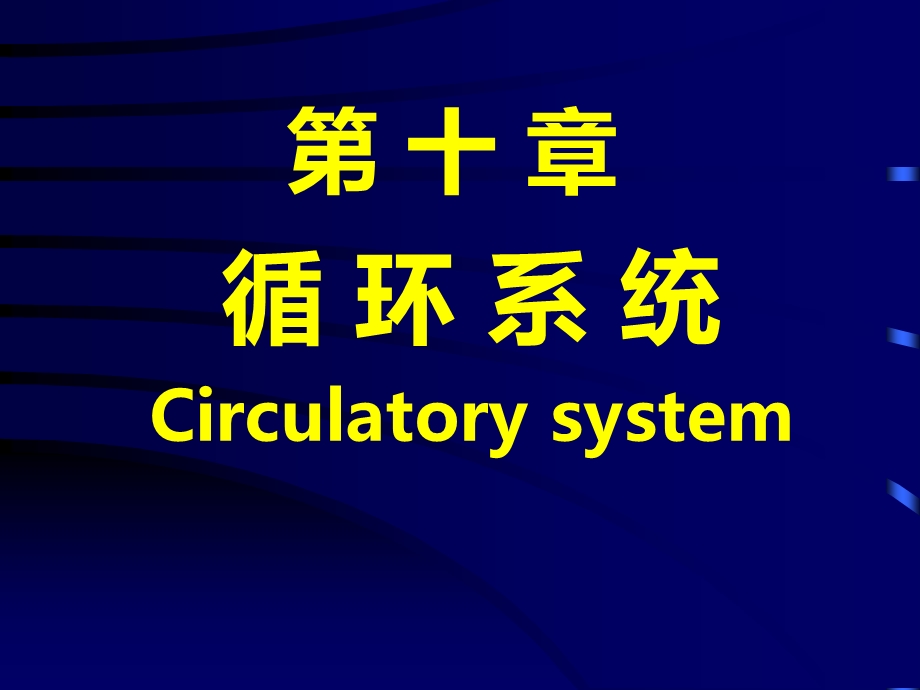 组织学与胚胎学ppt课件-循环系统.ppt_第1页