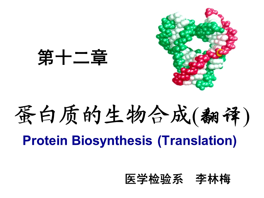 第十二章蛋白质的生物合成课件.ppt_第1页