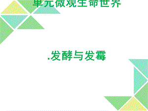 五年级下册科学ppt课件7发酵与发霉粤教版.ppt