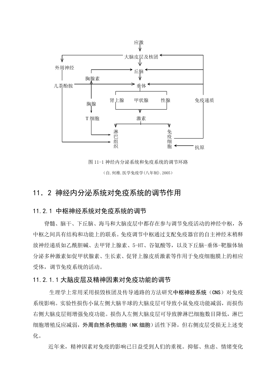 神经免疫调节解读.doc_第3页