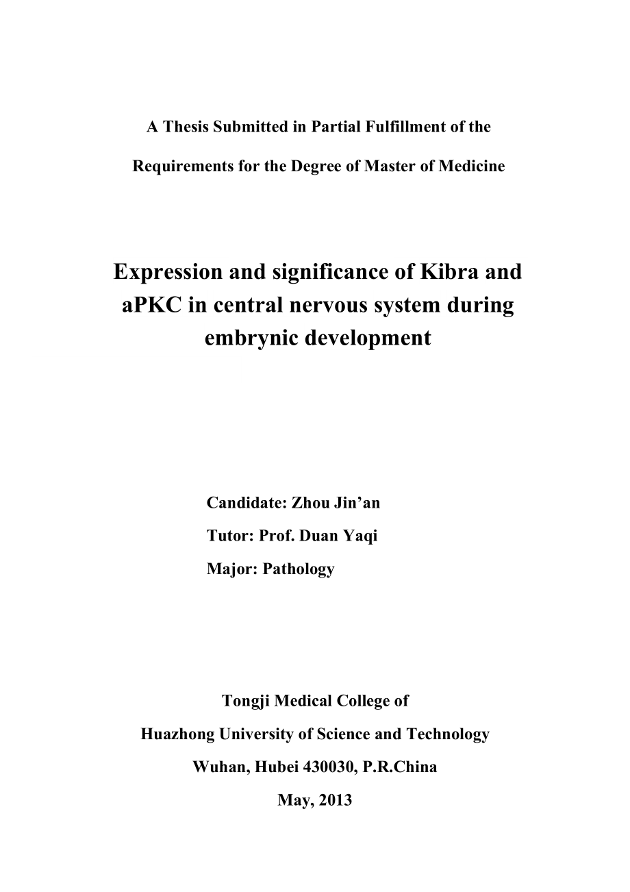 Kibra和aPKC在中枢神经系统发育中的表达及意义硕士学位论文.doc_第2页