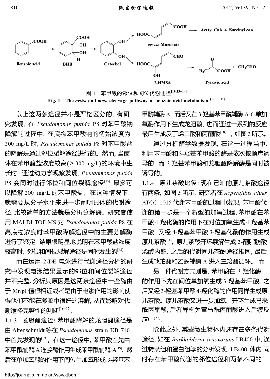 微生物降解苯甲酸的研究进展.doc_第3页