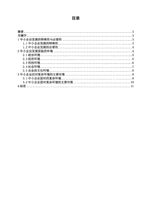 中小企业发展环境研究.doc