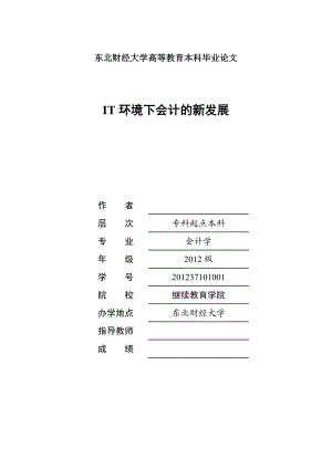 IT环境下会计的新发展毕业论文.doc