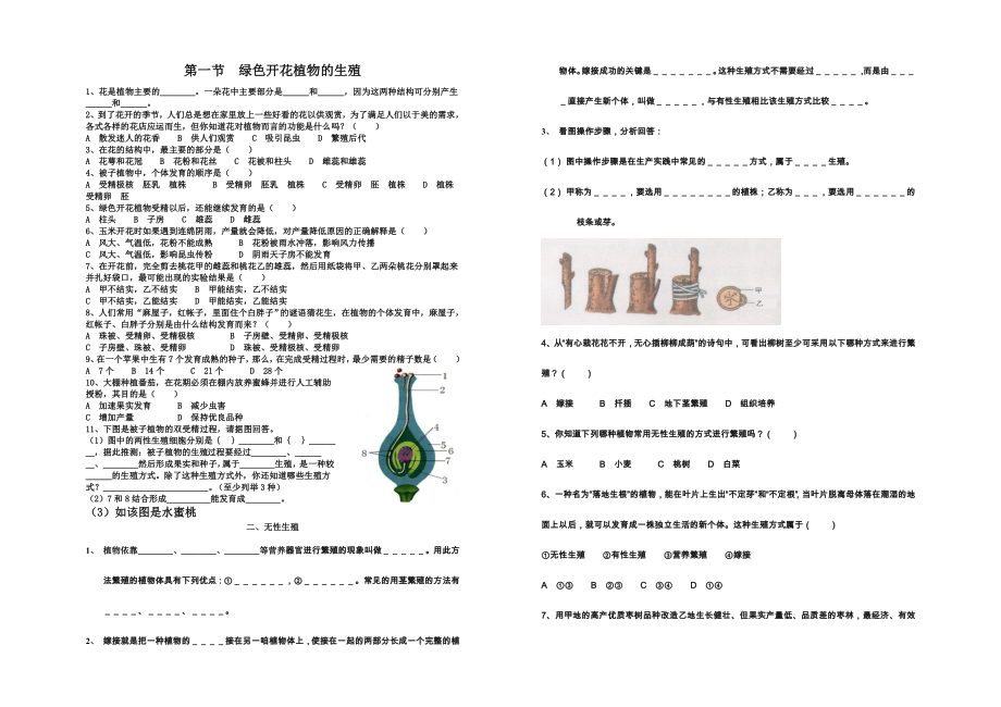 最新植物的生殖习题.doc_第1页