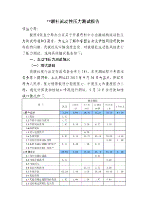 流动性压力测试报告重点讲义资料.doc