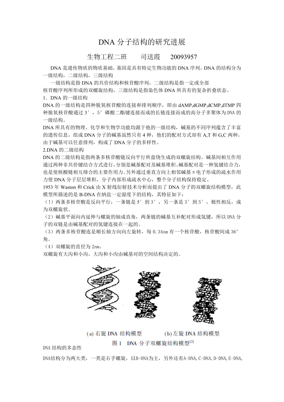 DNA分子结构的研究进展（学术论文） .doc_第1页