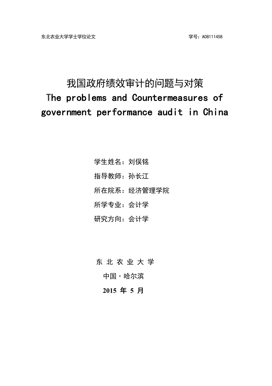 我国政府绩效审计的问题与对策学士学位论文.doc_第1页