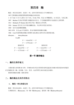 生物化学酶章节考点总结.doc