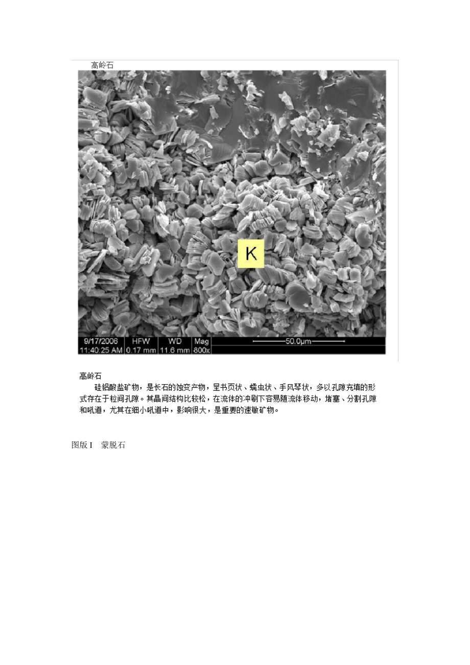 粘土矿物在扫描电镜下的识别综述.doc_第3页