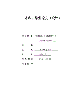 大肠杆菌、弗氏柠檬酸杆菌感染斑马鱼研究本科生毕业论文.doc