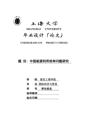 国际经济与贸易毕业设计（论文）我国能源利用效率问题研究.doc