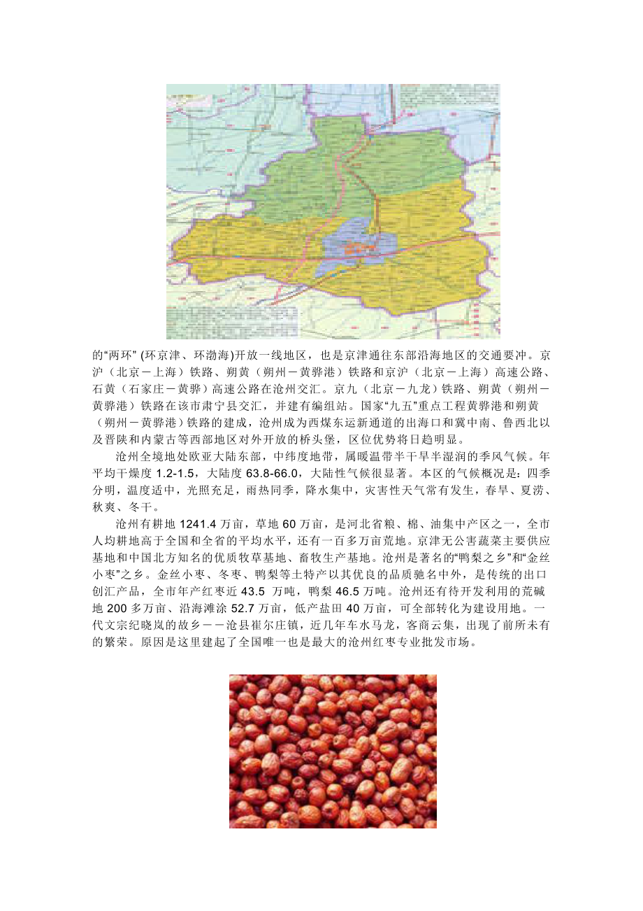 沧州金丝小枣产业的现状及对策研究.doc_第2页