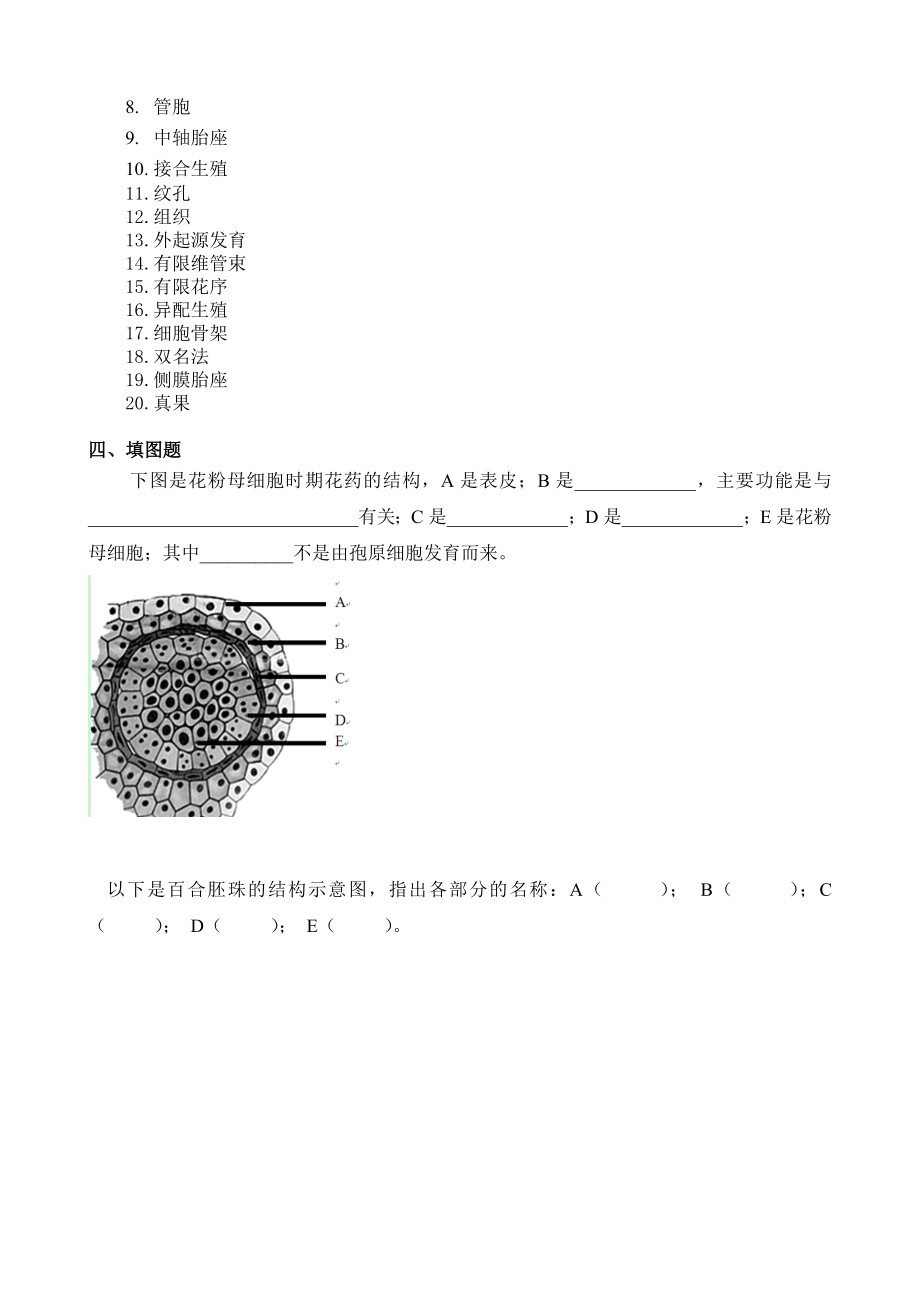 植物学复习题(专升本).doc_第3页