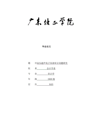 汕头超声电子内部审计问题研究—审计毕业论文.doc