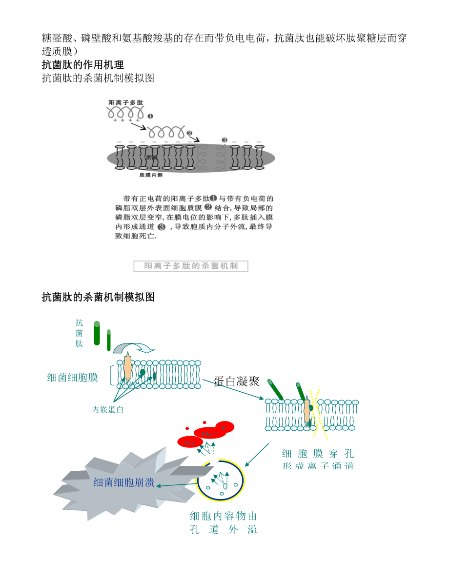 抗菌肽及其在饲料中的应用.doc_第2页