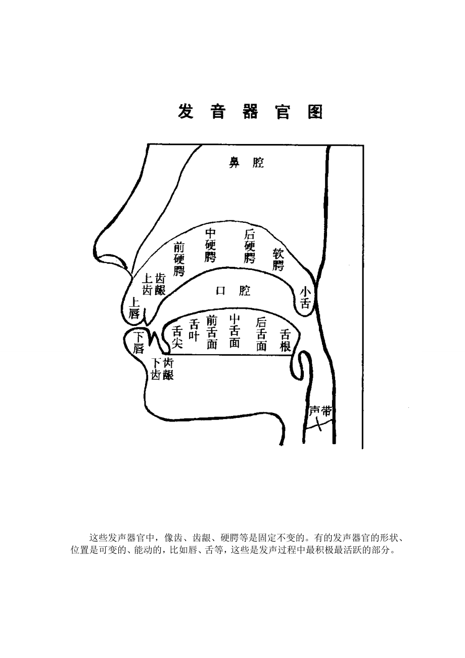 普通话教案第三章--声母剖析.doc_第2页