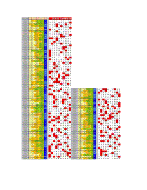 双色球自动更新6红菠萝_图文.doc