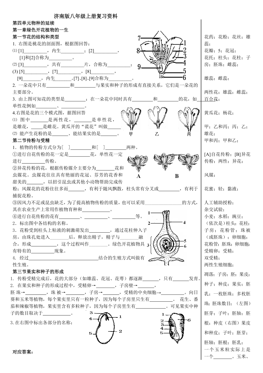 济南版八年级上册识图题填空式专项复习题.doc_第1页