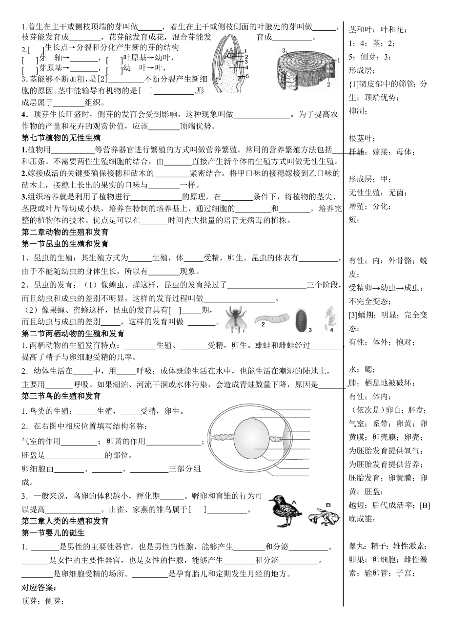 济南版八年级上册识图题填空式专项复习题.doc_第3页