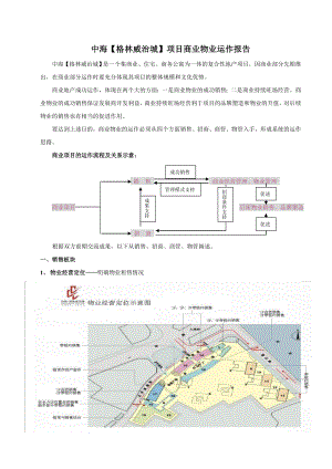 中海【格林威治城】项目商业物业运作报告.doc