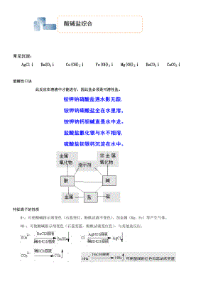 酸碱盐综合复习(一).doc