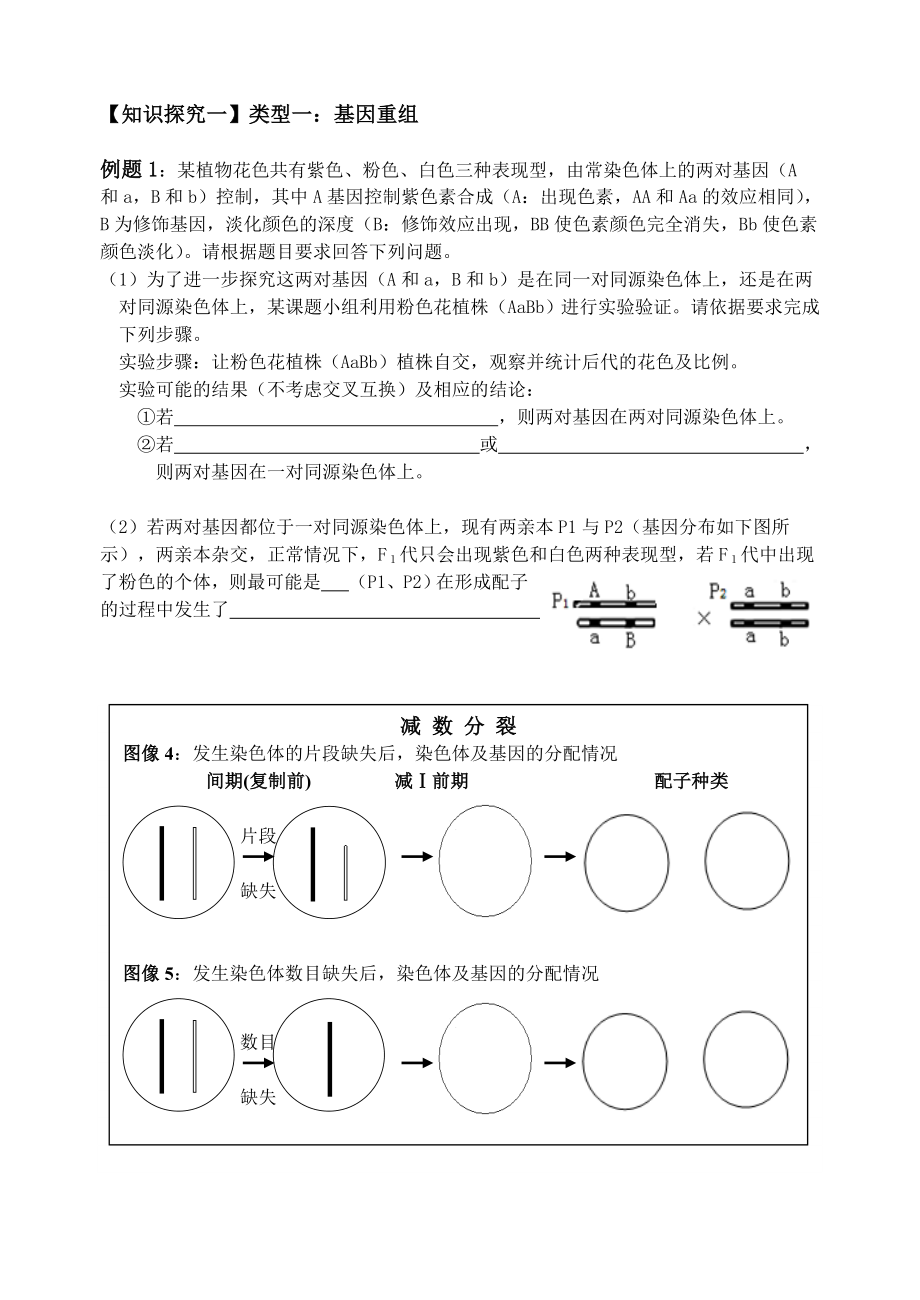 变异和遗传的细胞学基础高三生物专题复习公开课.doc_第2页