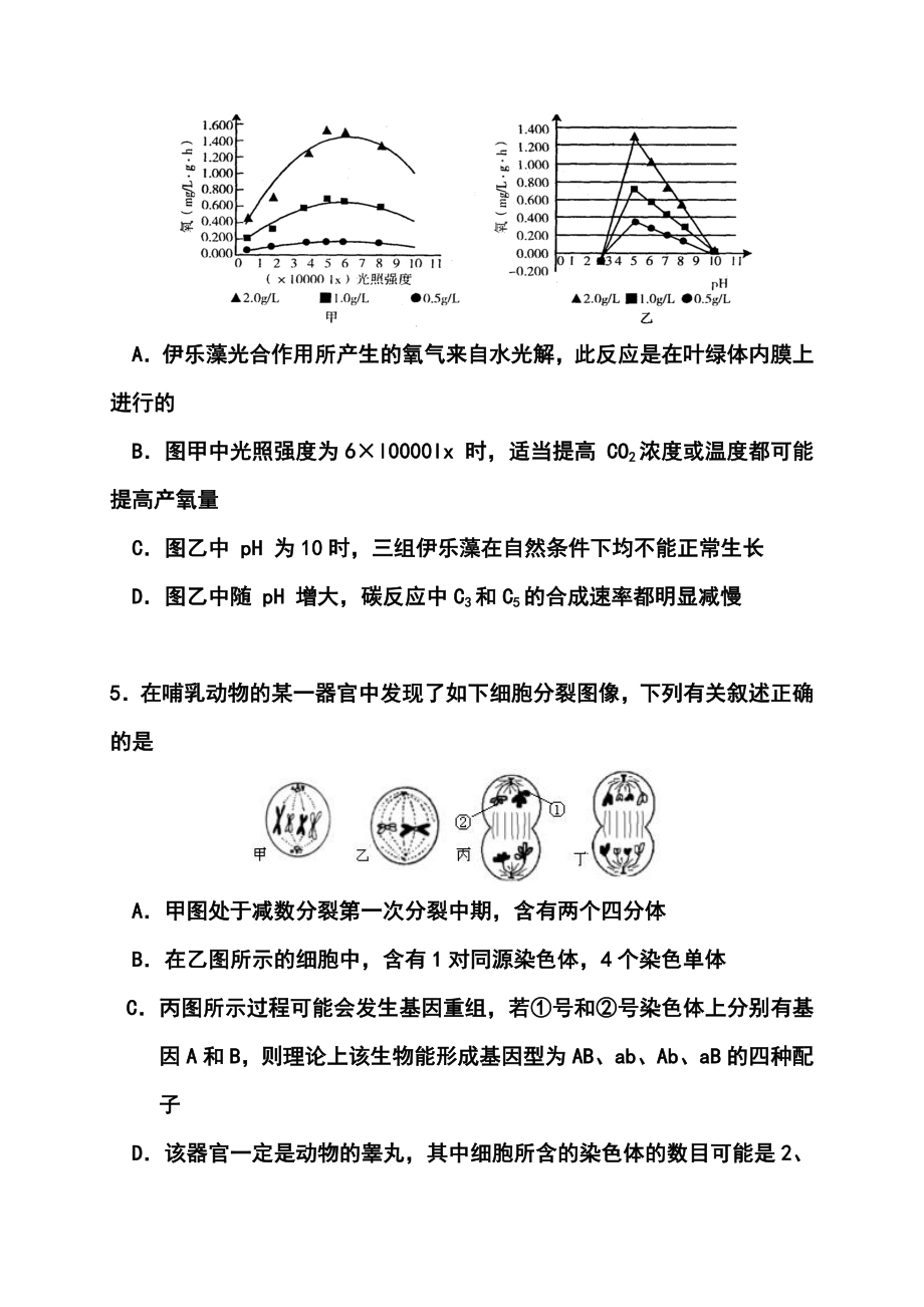 安徽省宿州二中高考训练理科综合试题及答案.doc_第3页