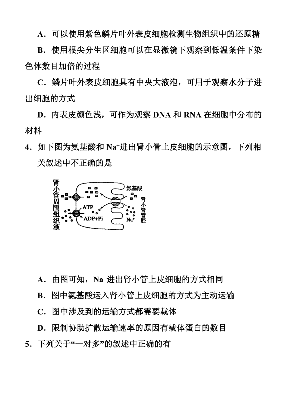 宁夏银川一中高三上学期第三次月考 理科综合试卷及答.doc_第2页