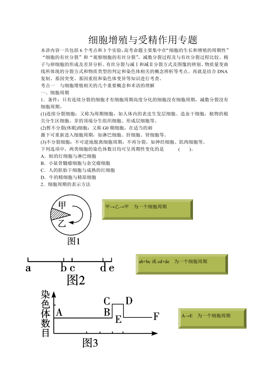 细胞增殖与受精作用专题谢书祥.doc_第1页