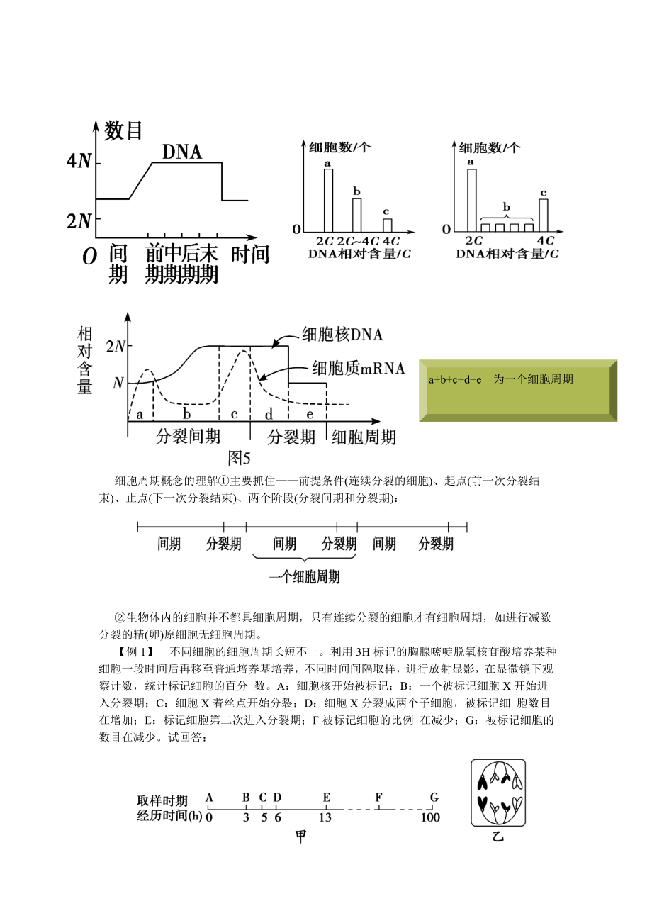 细胞增殖与受精作用专题谢书祥.doc_第2页