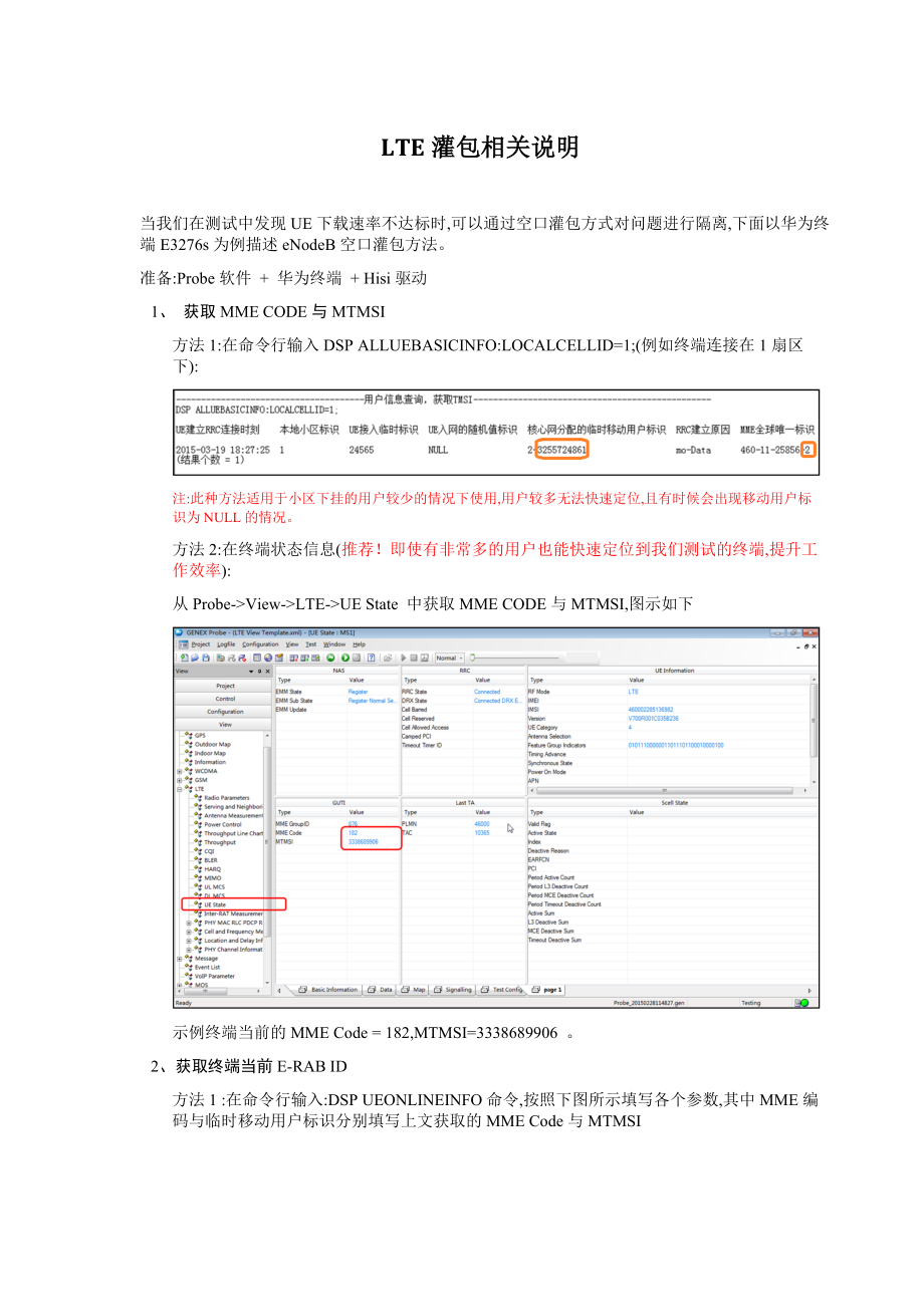 LTE灌包相关操作说明.doc_第1页